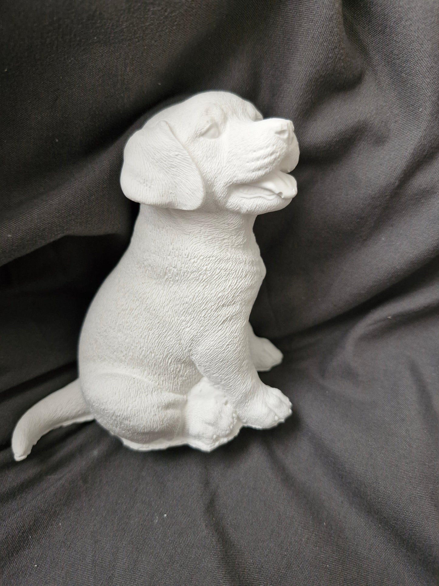 Paint your own puppy