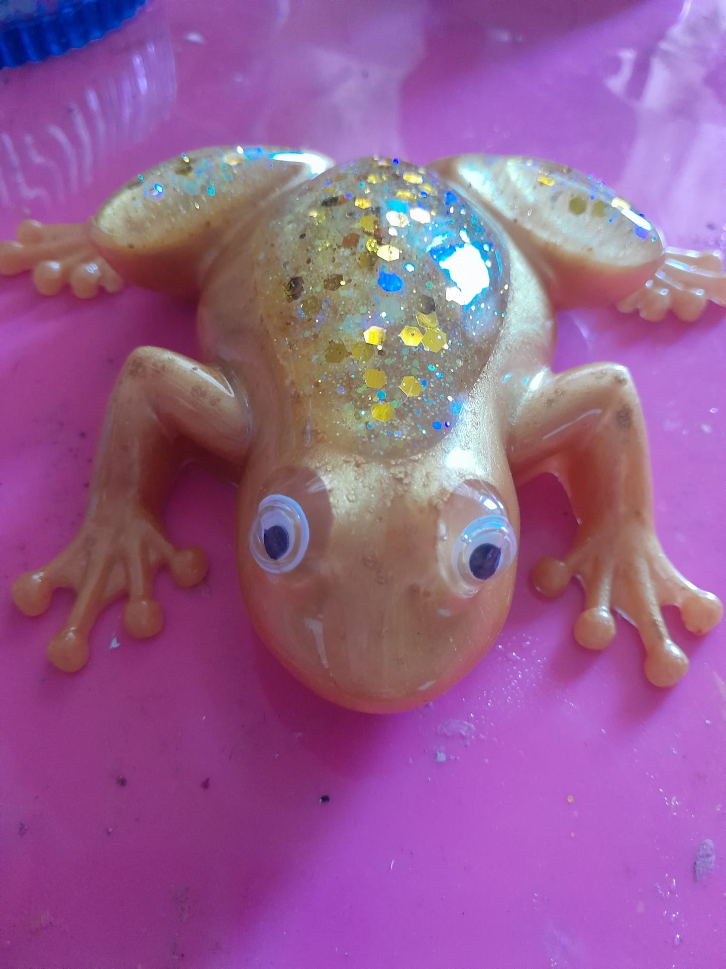 Little frogs